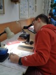 71455124729 - Školní kolo BiO kat.C,D