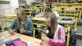 img_20190916_081654 - 