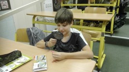 img_20190916_081921 - 
