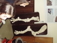 pa010543 - 