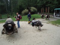 pa010563 - 